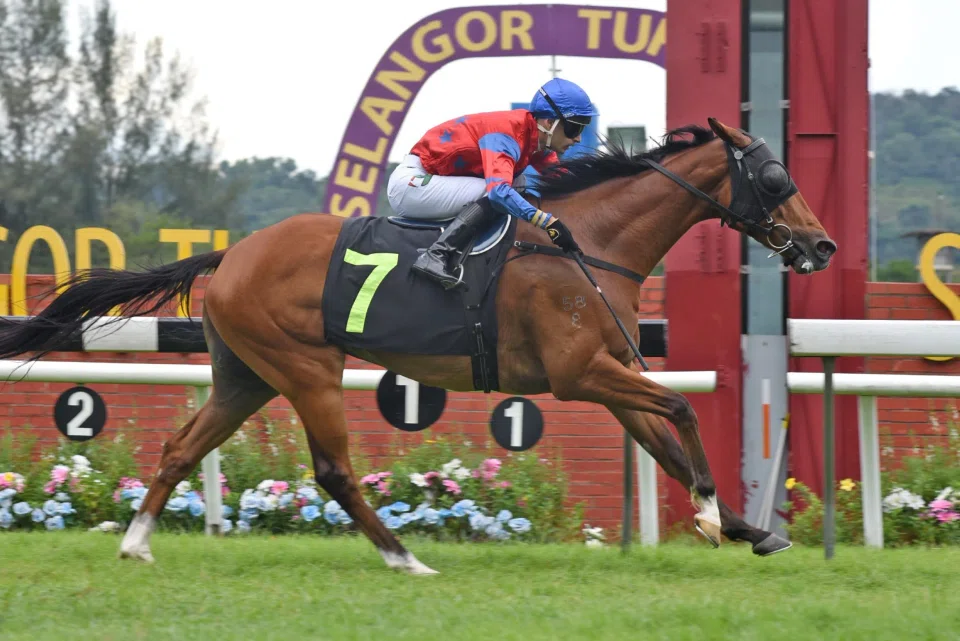 Hurricane (Carlos Henrique) was home and hosed in the Class 3 event (1,400m) at Sungai Besi on March 9. The former Singapore galloper won at his second start in Malaysia.