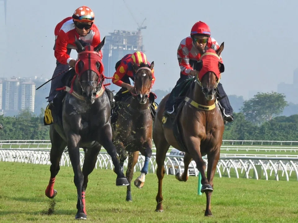 Platinum Emperor (Nuqman Rozi, far left) barely getting tested as he claims the first barrier trial at Sungai Besi on March 4. 