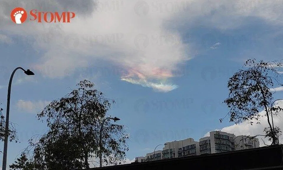 Stomper Gail described them as "mother-of-pearl" clouds and shared a photo of the phenomenon over Potong Pasir.
