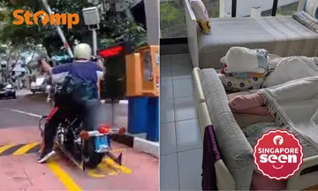 Loud motorcycle exhaust causes distress in segar road