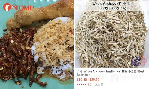 Man unhappy with overpriced $10.20 nasi padang, shares cost of ikan bilis to prove his point