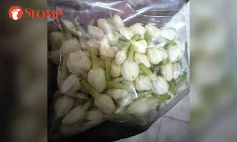 Stomper shocked that price of small pack of jasmine flowers up to $2 for CNY: 'Can buy kopi-o siew dai'