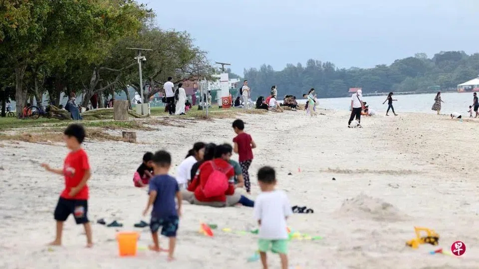 A girl was stung by a jellyfish while swimming at Changi Beach and was rushed to hospital by ambulance.