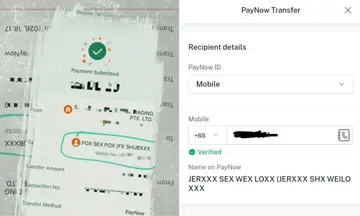 new paynow censor names banks suggestive nsfw online payment