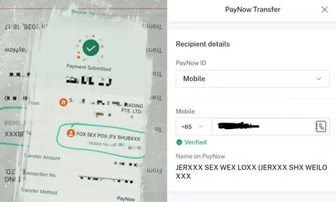 new paynow censor names banks suggestive nsfw online payment