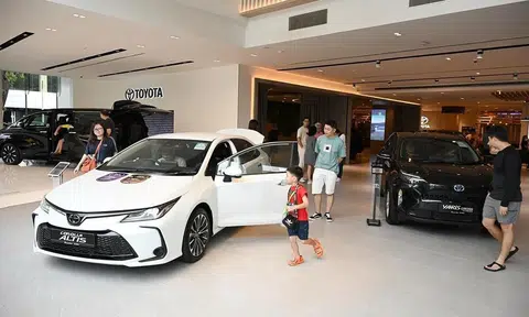 Borneo Motors lays off workers amid restructuring exercise