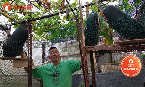 Man not only performs for patients -- but grows own crops to give old folks too