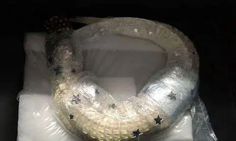 Customs officers at Munich Airport found a live albino alligator wrapped in cling film in a man's suitcase. PHOTO: MAIN CUSTOMS OFFICE MUNICH