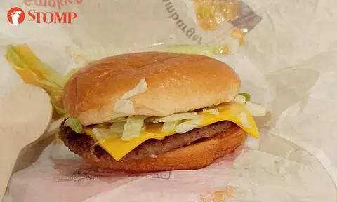 Man feels smoked by 'skinny and pathetic' burger, offers suggestions to McDonald's