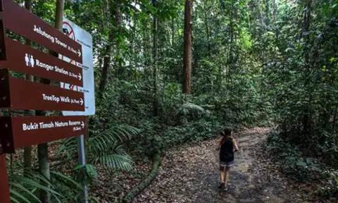 Bangladeshi man gets 17 years' jail and 24 strokes of cane for raping woman at MacRitchie Reservoir