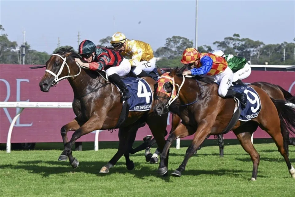 The Chris Waller-trained Lady Shenandoah (James McDonald, No. 4) staving off her stablemate Firestorm (Tyler Schiller) to claim the top prize in the Group 1 Coolmore Classic (1,500m) at Rosehill Gardens on March 15. 
