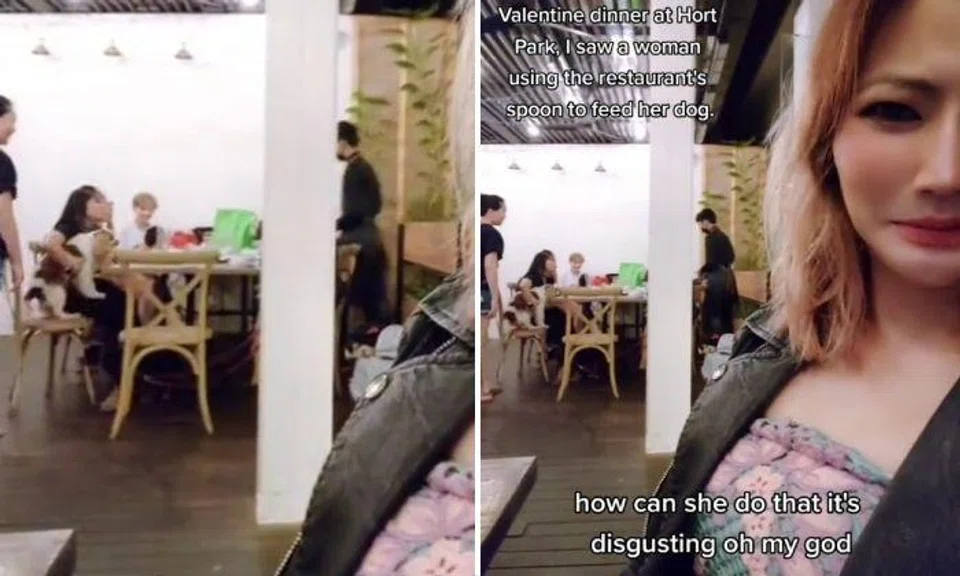 A woman took to TikTok to share her disgust after she allegedly witnessed a dog licking a spoon at an eatery in HortPark. 