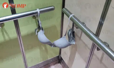 Resident disgusted by bra left hanging in Tampines lift