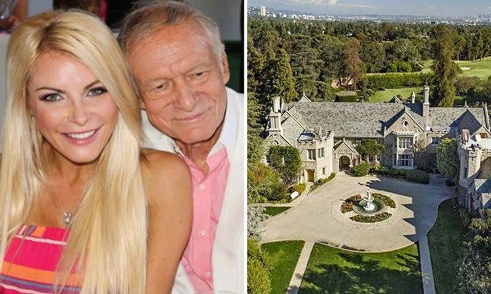 Photos and captions: Acid Cow