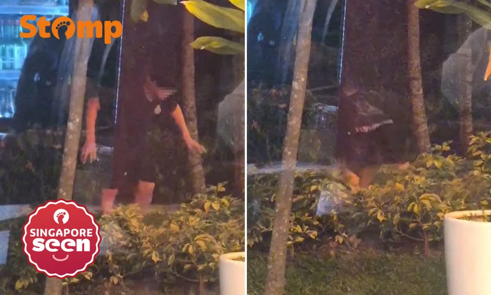 Youth stumbles and falls into plants in Punggol, Stomper wonders if vaping was involved
