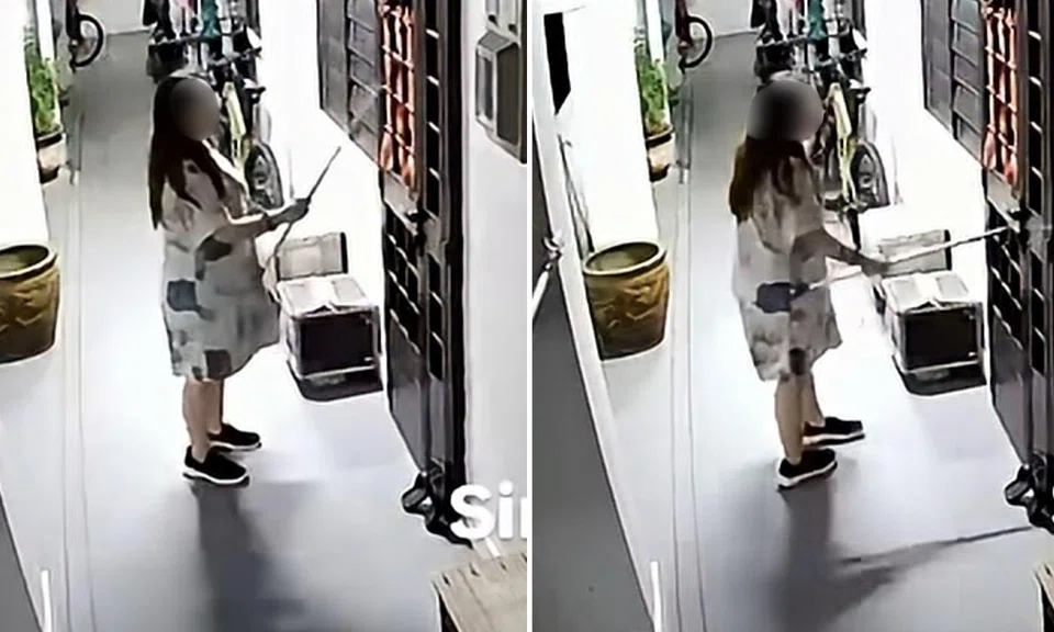 woman hits noisy neighbour’s unit with clothes fork
