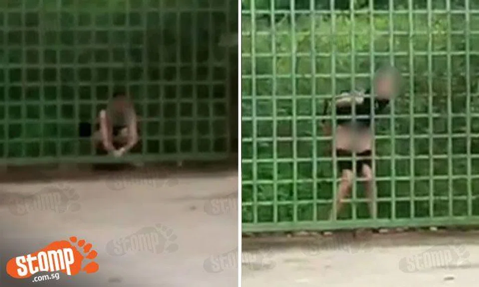 Seriously? 'Pretty woman' does her business right by the roadside