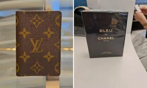 Dentist stole $600 Louis Vuitton card holder at Changi Airport 'out of greed', engineer wife was lookout in another theft