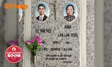 looking for Peranakan relatives, trace family history, Singapore Peranakans