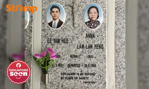 looking for Peranakan relatives, trace family history, Singapore Peranakans