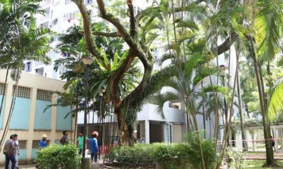 Workers gathering at the site where Mr Muhamed was hit by the falling branch. PHOTO: LIANHE WANBAO