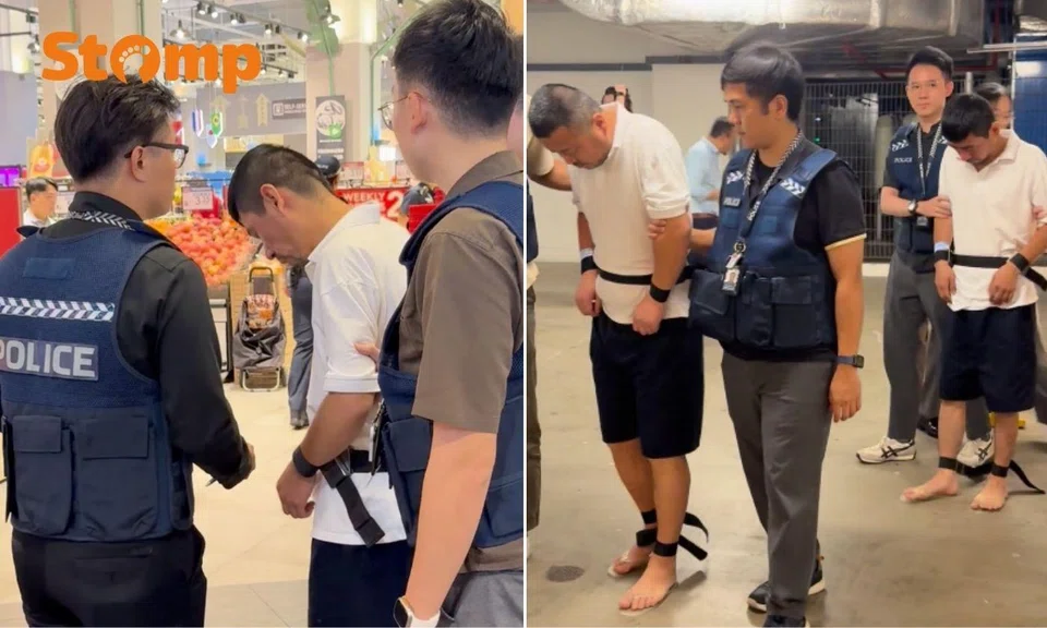 Zhang Wei and Ren Fu Bin were among four men arrested for their suspected involvement in a series of thefts.