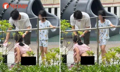 Girl takes a dump at Tampines playground while dad holds tissue: 'Mind-blowing'