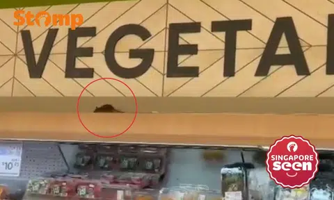 Cold Storage said it has “implemented additional preventive measures” in response to the rat sighting. 