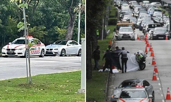 BMW driver arrested after pedestrian dies in car accident: Boy, 4, and ...
