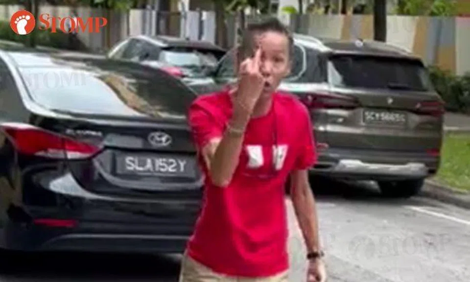 Driver swears at pedestrian after failing to stop for her, says 'Ya, so?' to demerit point