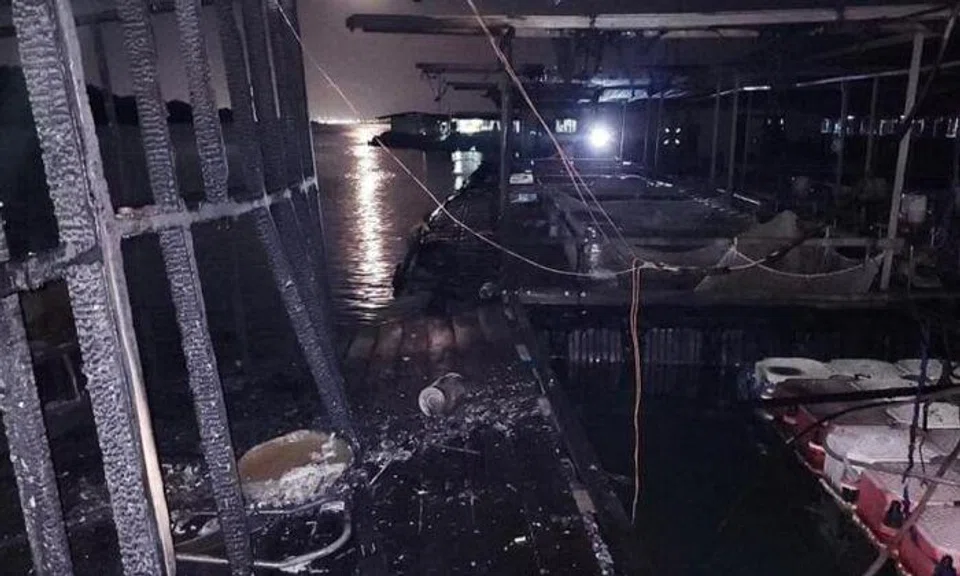 13 evacuated after fish farm near Pulau Tekong catches fire