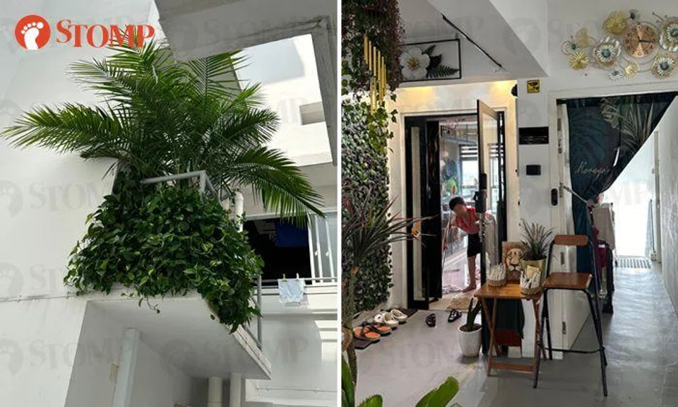 Mini jungle at Punggol HDB block leads to even more surprising find
