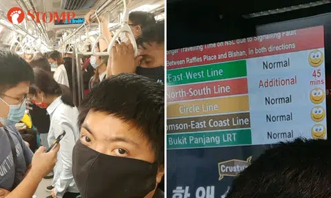 Signalling fault along North-South Line causes delays for commuters