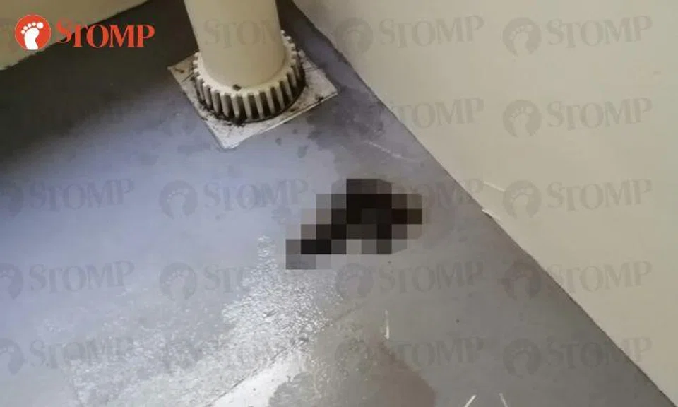 Punggol resident forced to close windows due to human poo at staircase landing