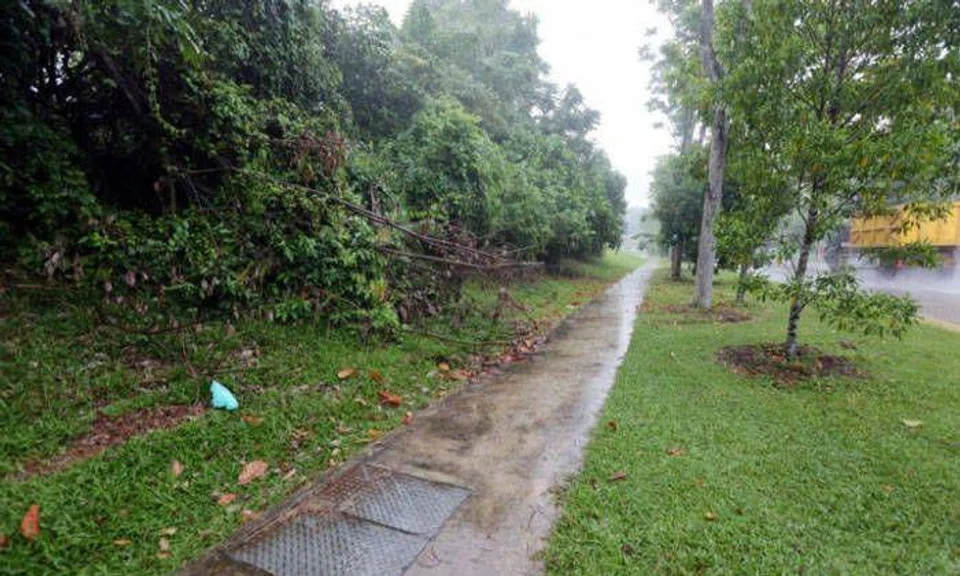 The victim was attacked in Turf Club Avenue in 2019. Photo: Lianhe Wanbao