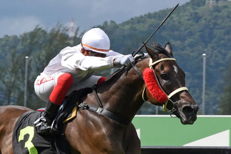 The Frank Maynard-trained Circuit Mission (Nazir Aiman) landing a Supreme A race (1,400m) at Sungai Besi on July 7, 2024. He scored a running double in the Group 1 Penang Sprint Trophy (1,400m) three weeks later. 