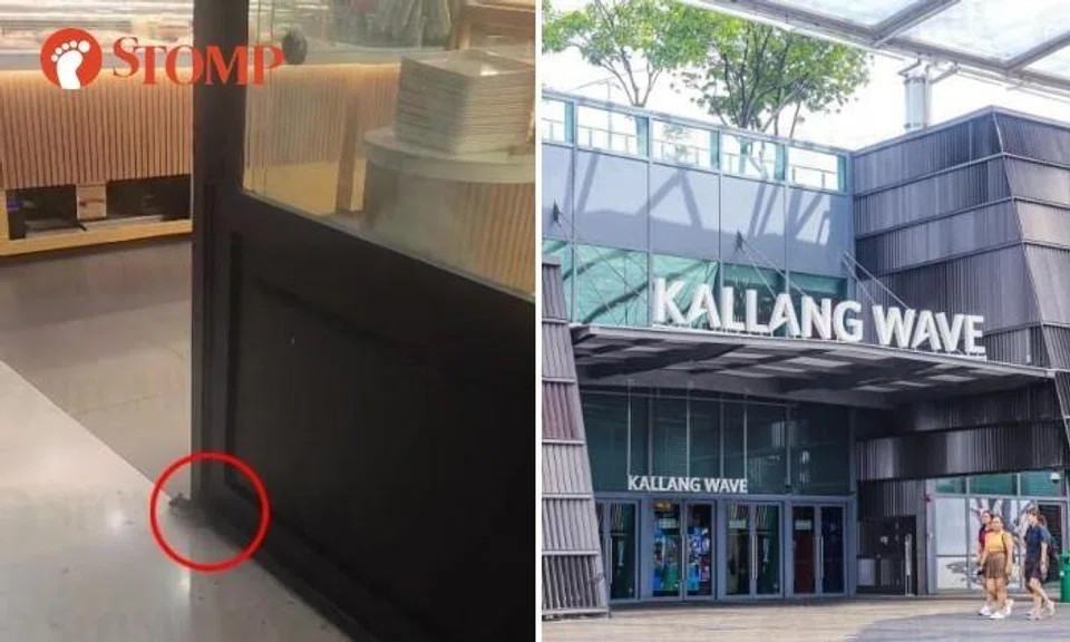 Rat spotted entering bakery in Kallang Wave Mall, SFA looking into matter