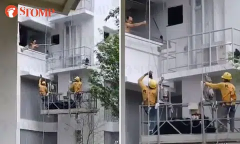 Fernvale resident who stopped anti-bird nettings installation assisting police with investigations: 'I was very angry'