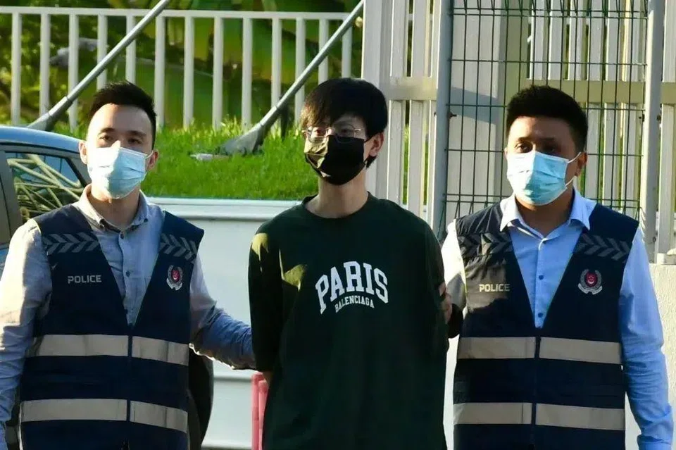 On Oct 14, Pi Jiapeng, 30, pleaded guilty to three charges, including for money laundering and fraudulent trading.