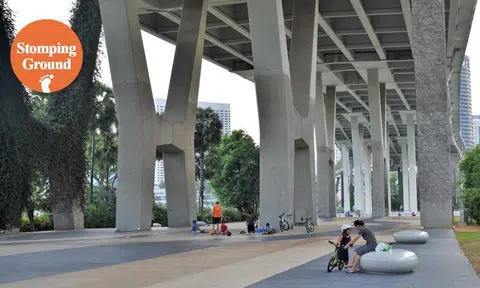 Yay or nay? Stomper suggests converting space under expressway bridges into pickleball courts