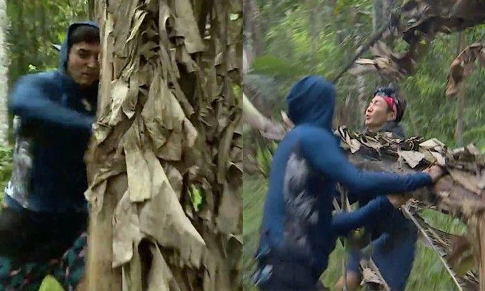 Guy tries to tear down tree with just his bare hands and feet