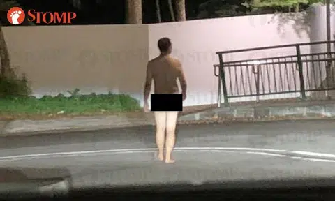 Naked man unfazed while on 'catwalk' at Old Holland Road