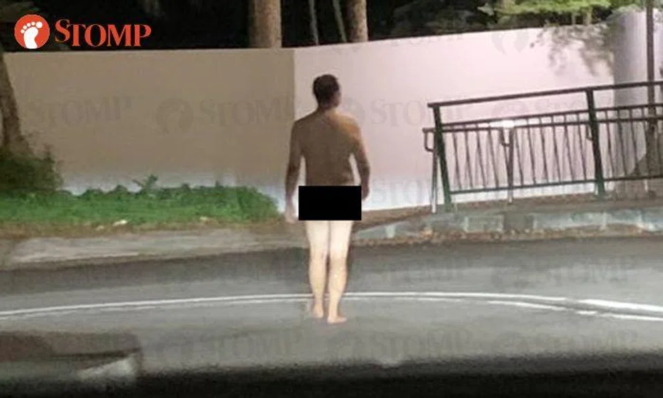 Naked man unfazed while on 'catwalk' at Old Holland Road