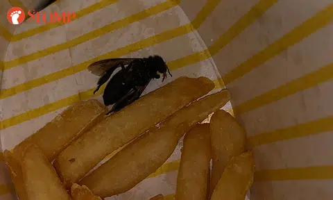 McDonald's looking into case of "bug" allegedly found in fries from Ang Mo Kio Park outlet