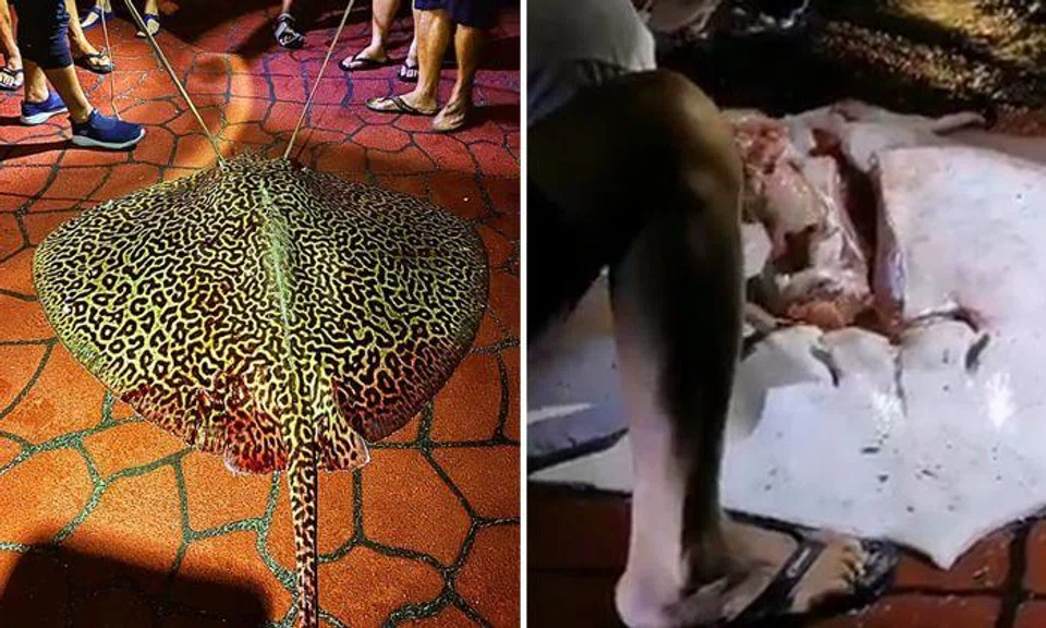 Photos: Samantha Lee/Facebook