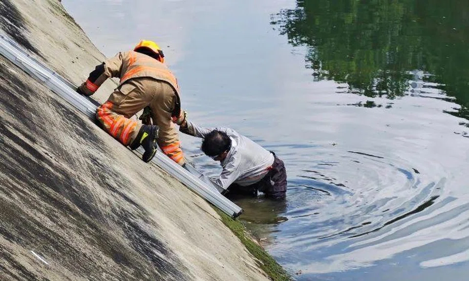 Facebook user Sam Young shared photos of the incident in the SG PCN Cyclist group.