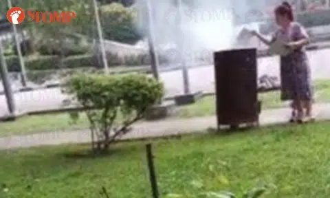 Woman burns stacks of paper in incense bin along Chin Swee Rd