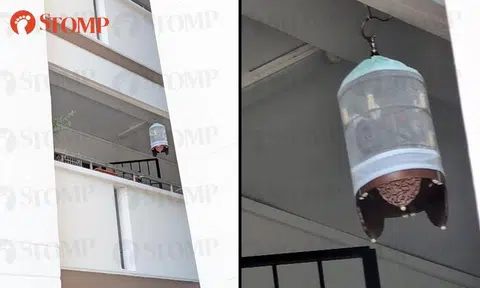 Town council visits Segar Road resident who left bird cage swinging in the wind, but no one home