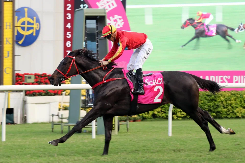 Encountered (Derek Leung) winning the Group 3 Sa Sa Ladies’ Purse Handicap (1,800m) at Sha Tin on Nov 5, 2023. He will be ridden by Karis Teetan at Happy Valley on Feb 26.