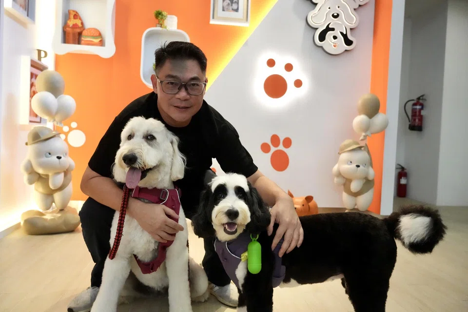 Founder Kevin Chee named the cafe Bailey & Patch after his dogs.